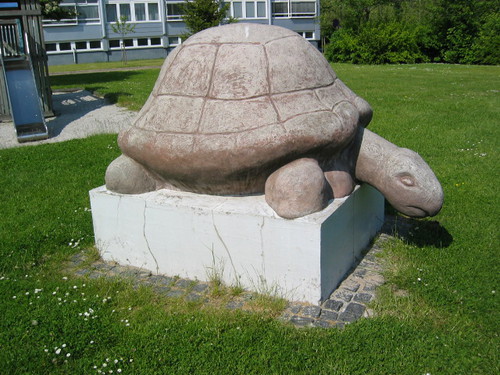 Skildpadde